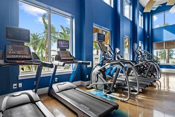A row of treadmills in a gym with a view of the outside.